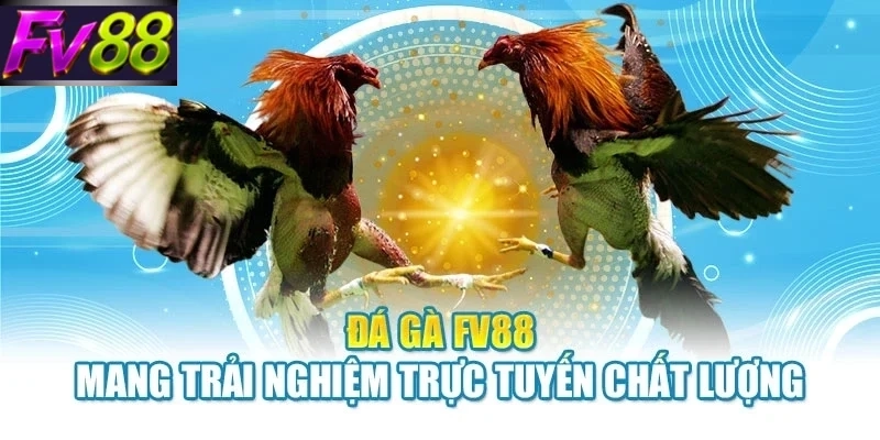 Đá Gà FV88 -Kinh Nghiệm Theo Dõi Trận Đấu Hấp Dẫn 2026 - SLOTCANVAS68 Đá Gà FV88 -Kinh Nghiệm Theo Dõi Trận Đấu Hấp Dẫn 2026 - SLOTCANVAS68
